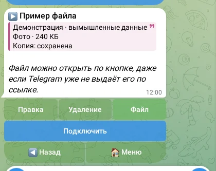 Экран бота: сохранённая копия файла
