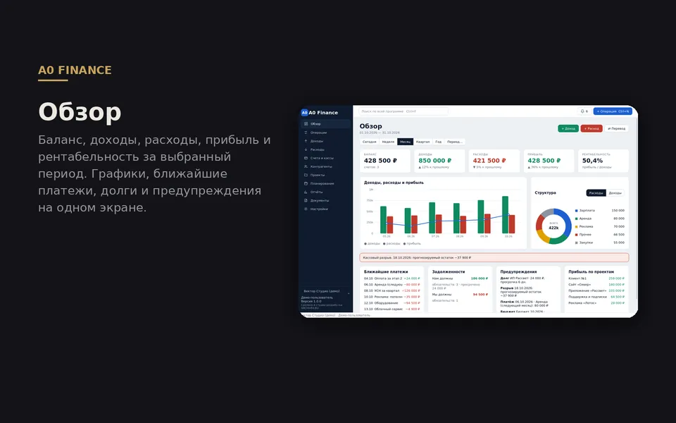 Программа для Windows — управленческий финансовый учёт — скриншот